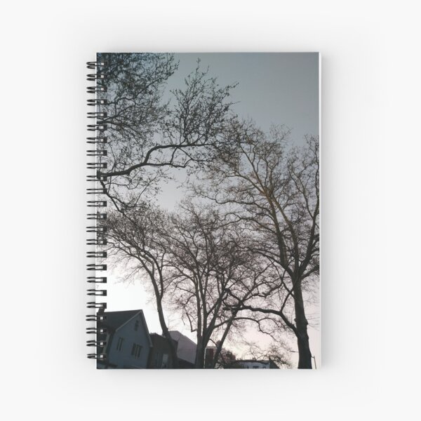 Happiness, Building, Skyscraper, New York, Manhattan, Street, Pedestrians, Cars, Towers, morning, trees, subway, station, Spring, flowers, Brooklyn Spiral Notebook