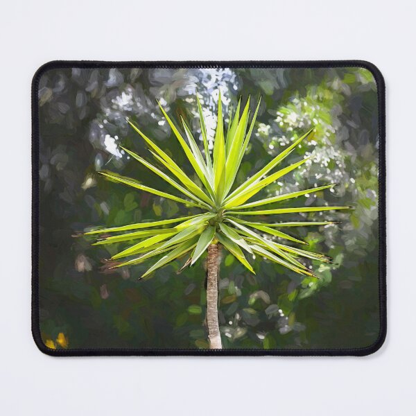 Item preview, Yucca plant Spanish Bayonet 100 designed and sold by RichFrancoCars.