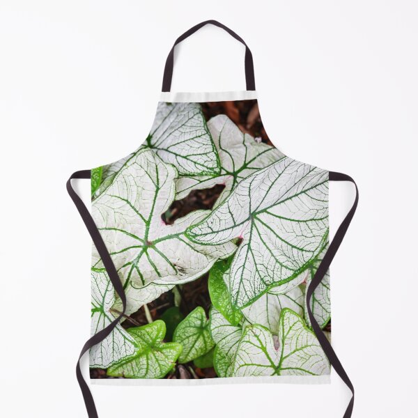 Item preview, White Caladium Plants Araceae designed and sold by RichFrancoCars.