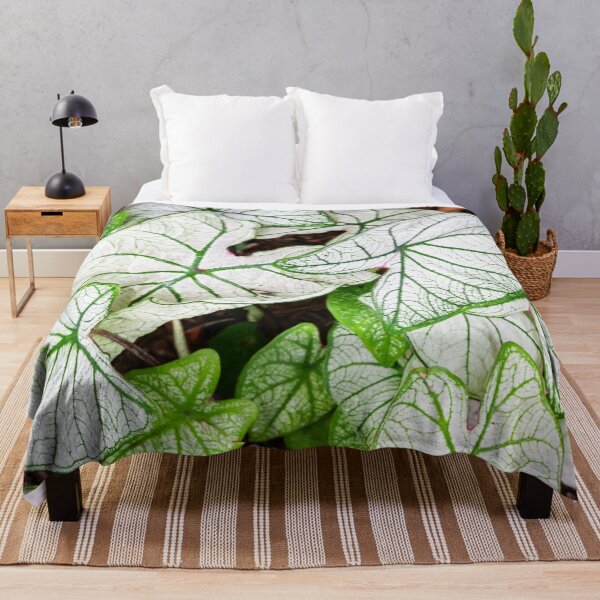 Item preview, White Caladium Plants Araceae designed and sold by RichFrancoCars.