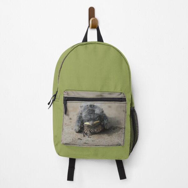 Item preview, A baby Hirundo rustica. designed and sold by John Jacob Jingleheimer Schmidt.