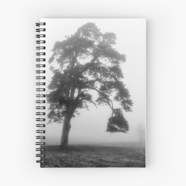 Item preview, Scots Pine in fog by heidiannemorris © designed and sold by FOLK ART FUSION.