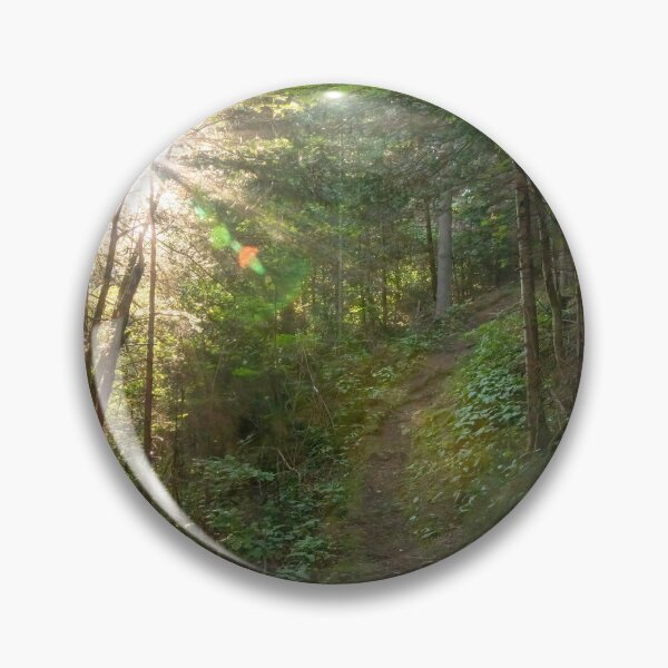Item preview, Sunlit Path through a Forest, Wawa, Ontario designed and sold by jrtwynam.