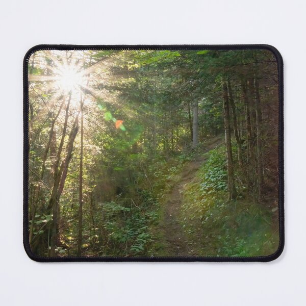 Item preview, Sunlit Path through a Forest, Wawa, Ontario designed and sold by jrtwynam.