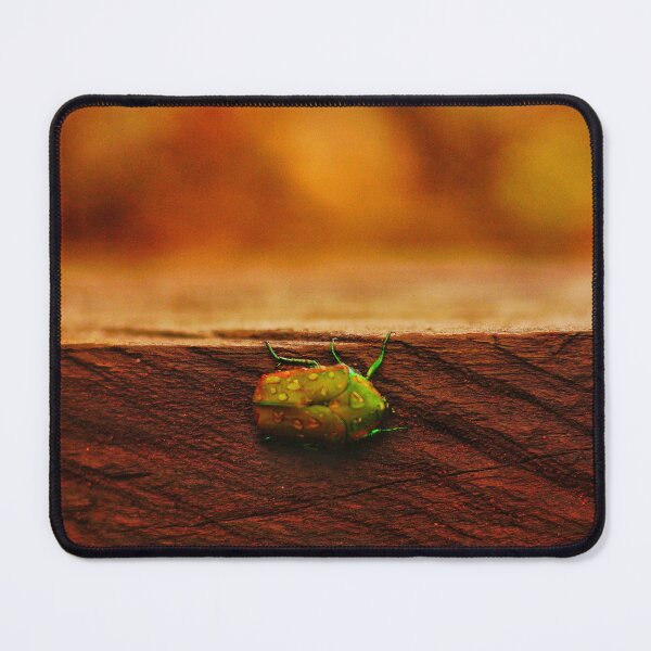 Item preview, Little green bug designed and sold by bisonte5.