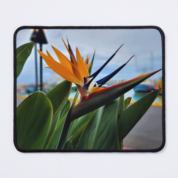 Item preview, Oahu Hawaii Bird of Paradies designed and sold by BeWitchingMom.