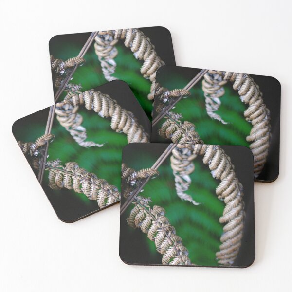 Item preview, Dying Fern designed and sold by Ian Rushton.