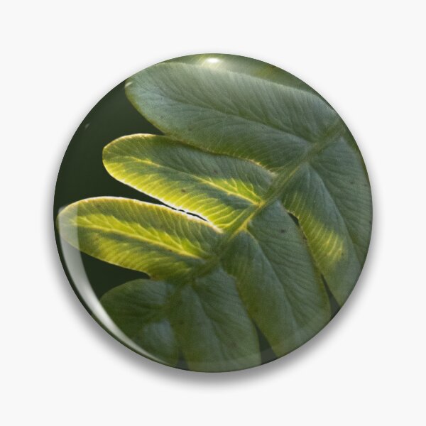 Item preview, Dappled Fern designed and sold by Vyn Studios.