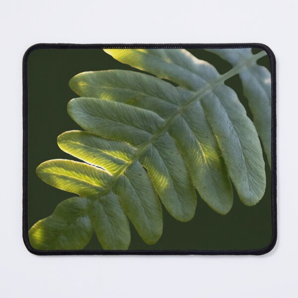 Item preview, Dappled Fern designed and sold by Vyn Studios.