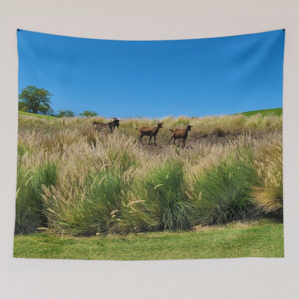 Item preview, The Big Island of Hawaii Wild Goats designed and sold by BeWitchingMom.