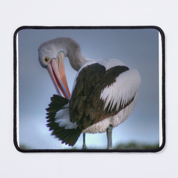 Item preview, Picky Patient Pelican Preening on Pole in Pool designed and sold by Michael Matthews.