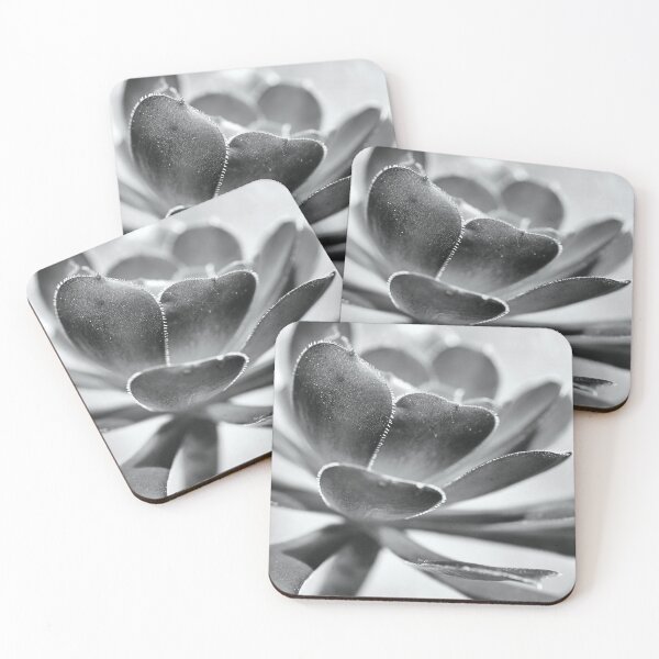 Item preview, Succulent Mono Love designed and sold by Joy Watson - Natural Light Photography .