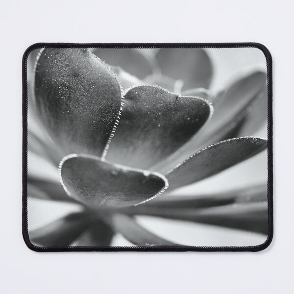 Item preview, Succulent Mono Love designed and sold by Joy Watson - Natural Light Photography .