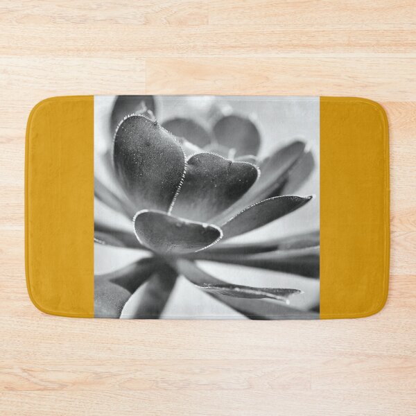 Item preview, Succulent Mono Love designed and sold by Joy Watson - Natural Light Photography .