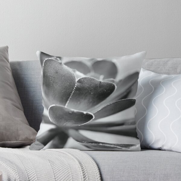 Item preview, Succulent Mono Love designed and sold by Joy Watson - Natural Light Photography .