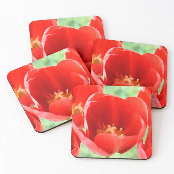 Item preview, Tulipa  'Sky High Scarlet'   Single Late Tulip  designed and sold by Chris Burrows.