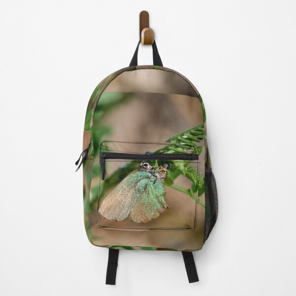 Item preview, Laying the eggs. Green hairstreak. designed and sold by Jouko Lehto Photography.