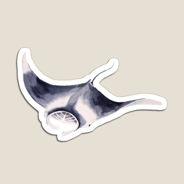 Manta Ray Watercolour Magnet