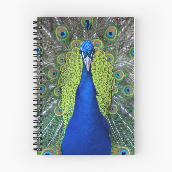 Item preview, Peacock Portrait designed and sold by Jenny Brice.