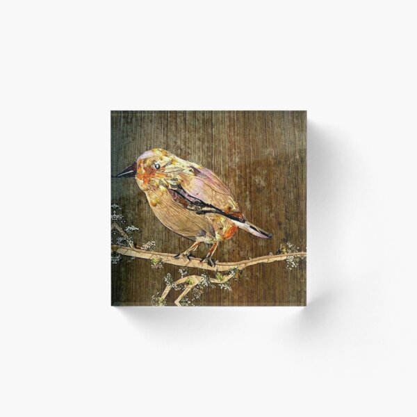 Artikelvorschau, Spatz Vogel entworfen und verkauft von BasantSoni.