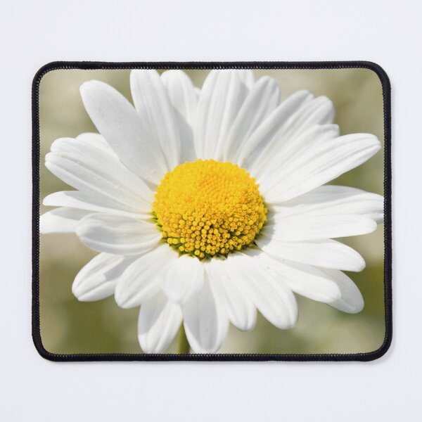 Item preview, Ox Eye Daisy designed and sold by JEZ22.