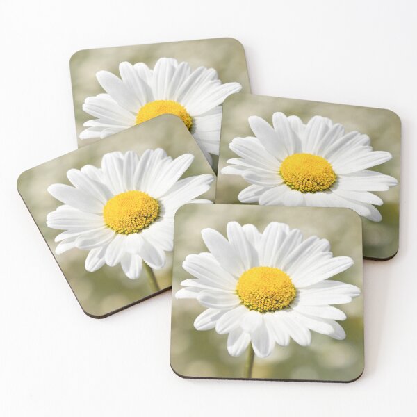 Item preview, Ox Eye Daisy designed and sold by JEZ22.