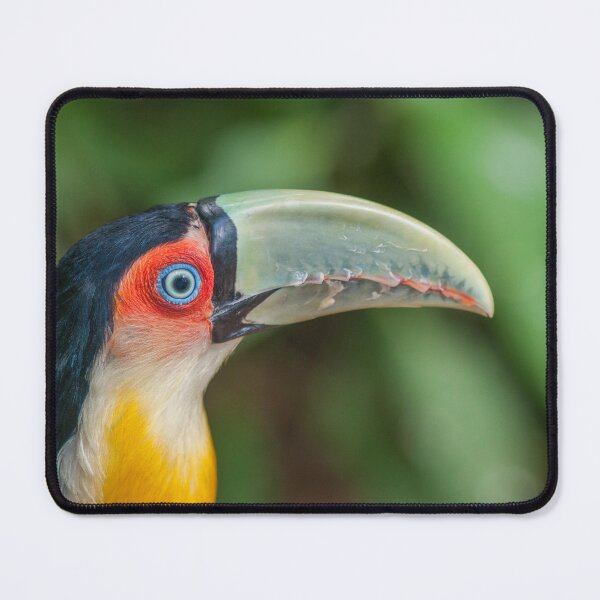 Item preview, Tucan designed and sold by MARTINNOVA.