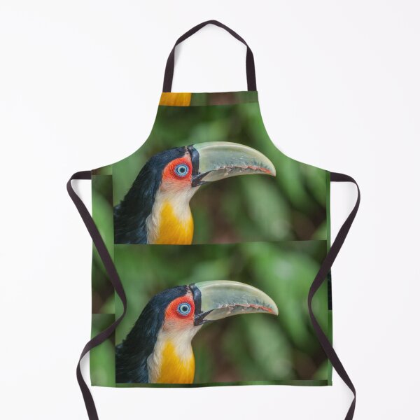 Item preview, Tucan designed and sold by MARTINNOVA.
