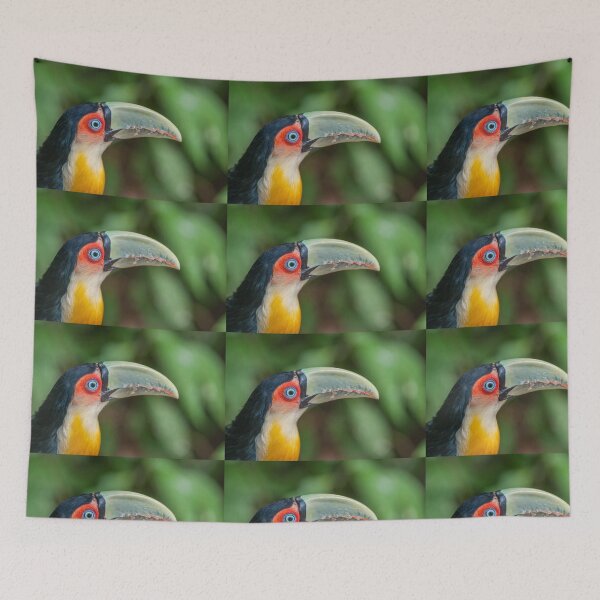 Item preview, Tucan designed and sold by MARTINNOVA.