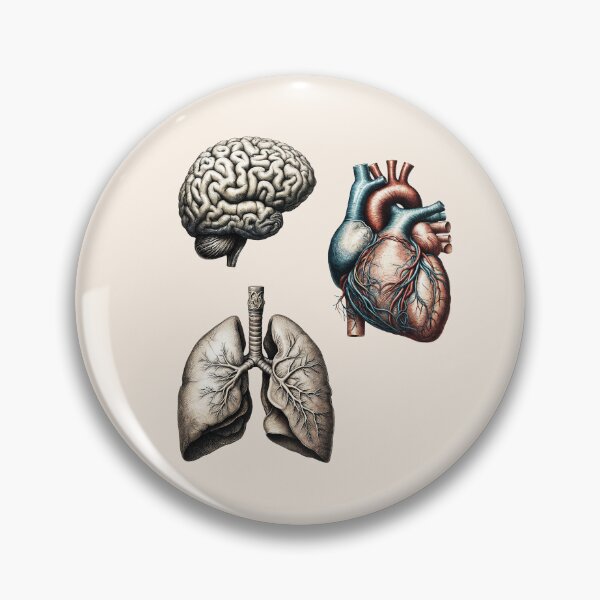 Item preview, A vintage set of human organ, lungs, heart and brain designed and sold by Collagedream.