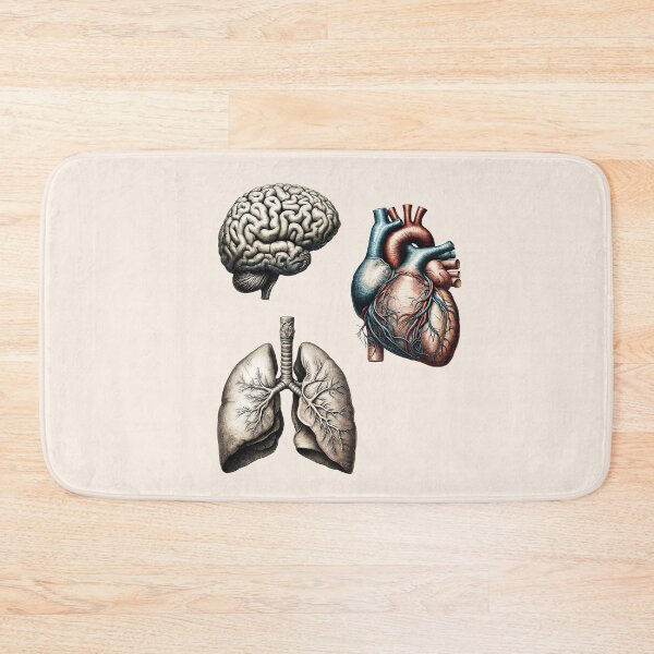 Item preview, A vintage set of human organ, lungs, heart and brain designed and sold by Collagedream.