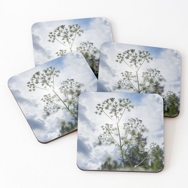 Item preview, Lace in the clouds. Queen Anne's lace designed and sold by Jouko Lehto Photography.