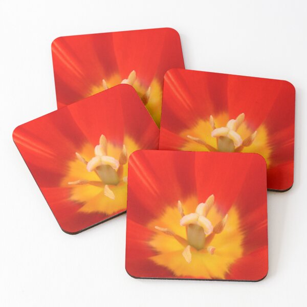 Item preview, Tulipa  'Sky High Scarlet'   Single Late Tulip  designed and sold by Chris Burrows.