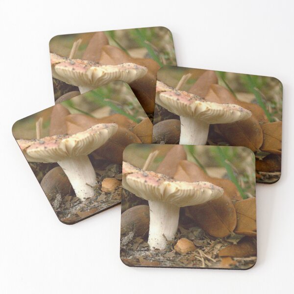 Item preview, Front Yard Mushroom designed and sold by MercerImages.
