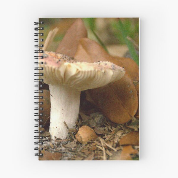 Item preview, Front Yard Mushroom designed and sold by MercerImages.