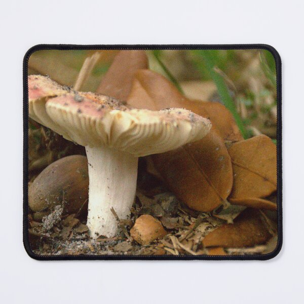 Item preview, Front Yard Mushroom designed and sold by MercerImages.