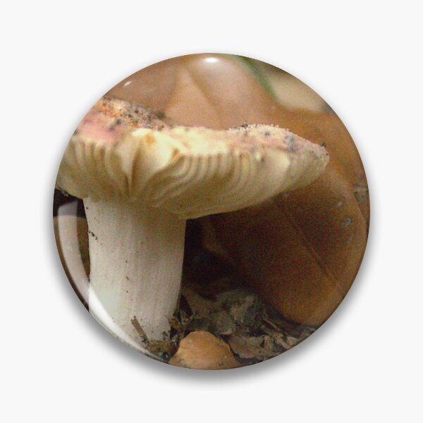 Item preview, Front Yard Mushroom designed and sold by MercerImages.