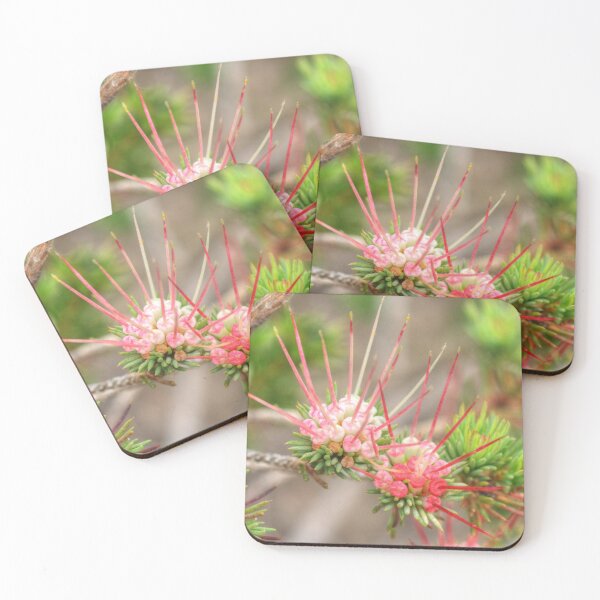 Item preview, Darwinia fascicularis designed and sold by Michael Matthews.
