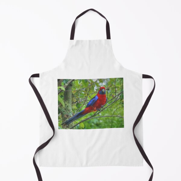 Item preview, Crimson Rosella at Lamington designed and sold by Michael Matthews.