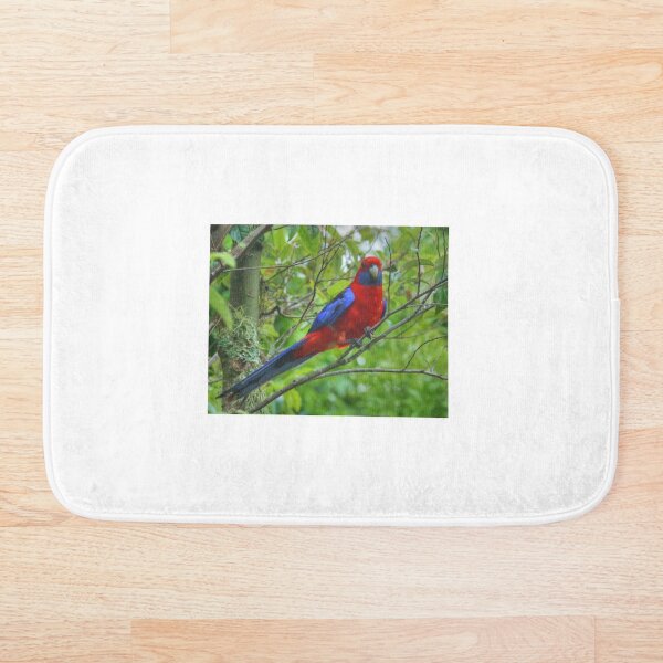 Aperçu de l'œuvre Rosella pourpre à Lamington créée et vendue par Michael Matthews.