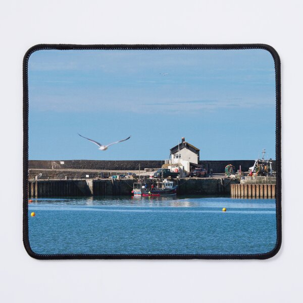 Item preview, View from Gun Cliff Walkway Lyme Regis Dorset designed and sold by Dorset Girl.