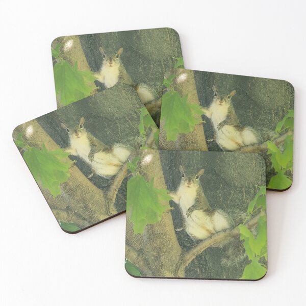 Item preview, Hot Squirrel Summer designed and sold by Tortibee.