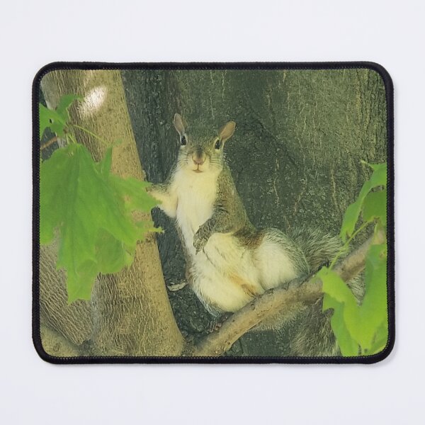 Item preview, Hot Squirrel Summer designed and sold by Tortibee.