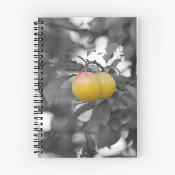 Item preview, Plums on black and white designed and sold by AHELENE.