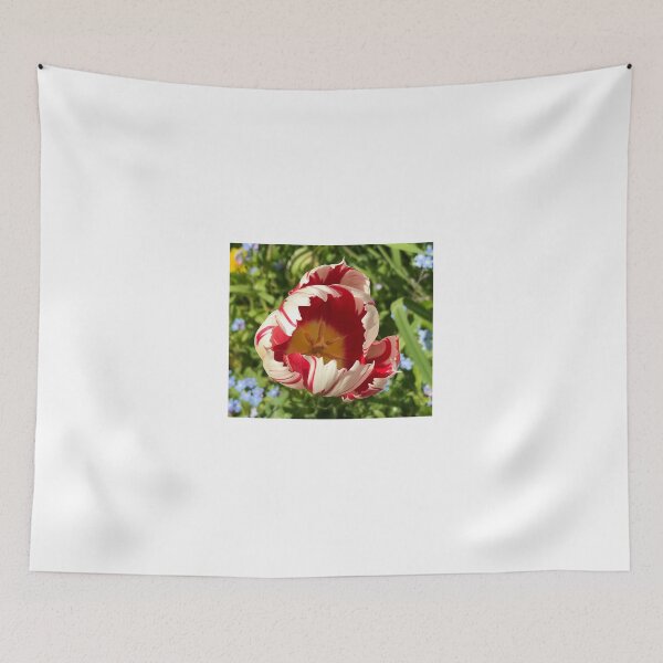 Item preview, Spring time in the garden designed and sold by WizardPhotos.