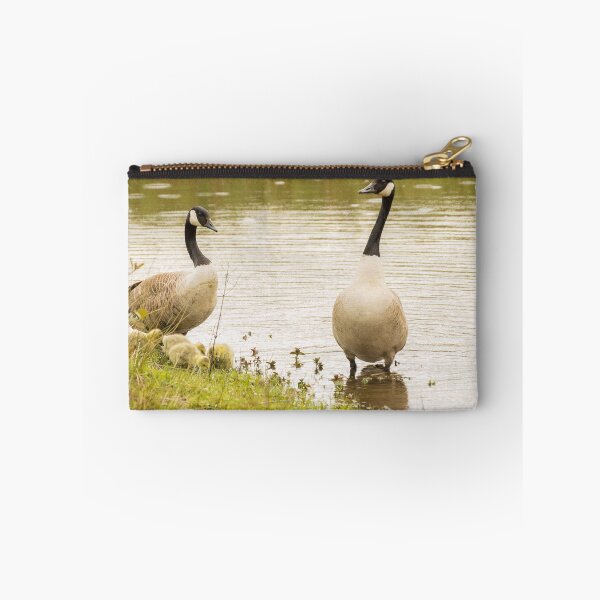 Item preview, Wildlife family duck and chicks designed and sold by HaleyRedshaw.
