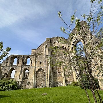 Artwork thumbnail, Malmesbury Abbey by Graz-Photos
