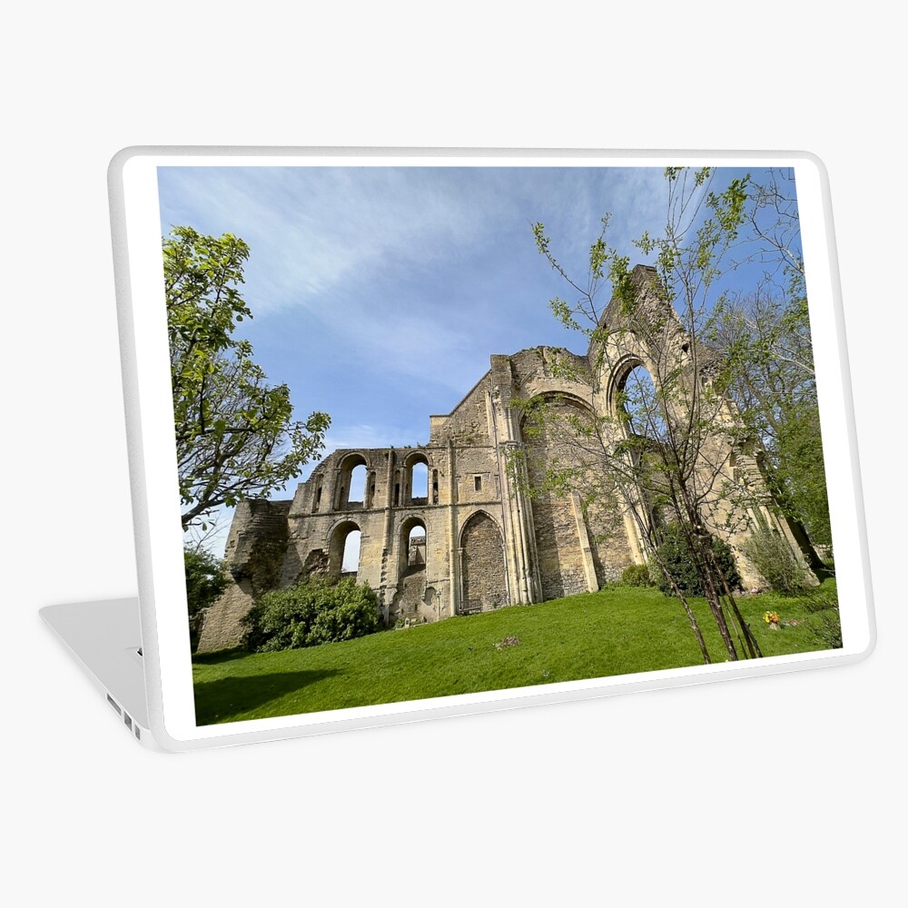 Item preview, Laptop Skin designed and sold by Graz-Photos.