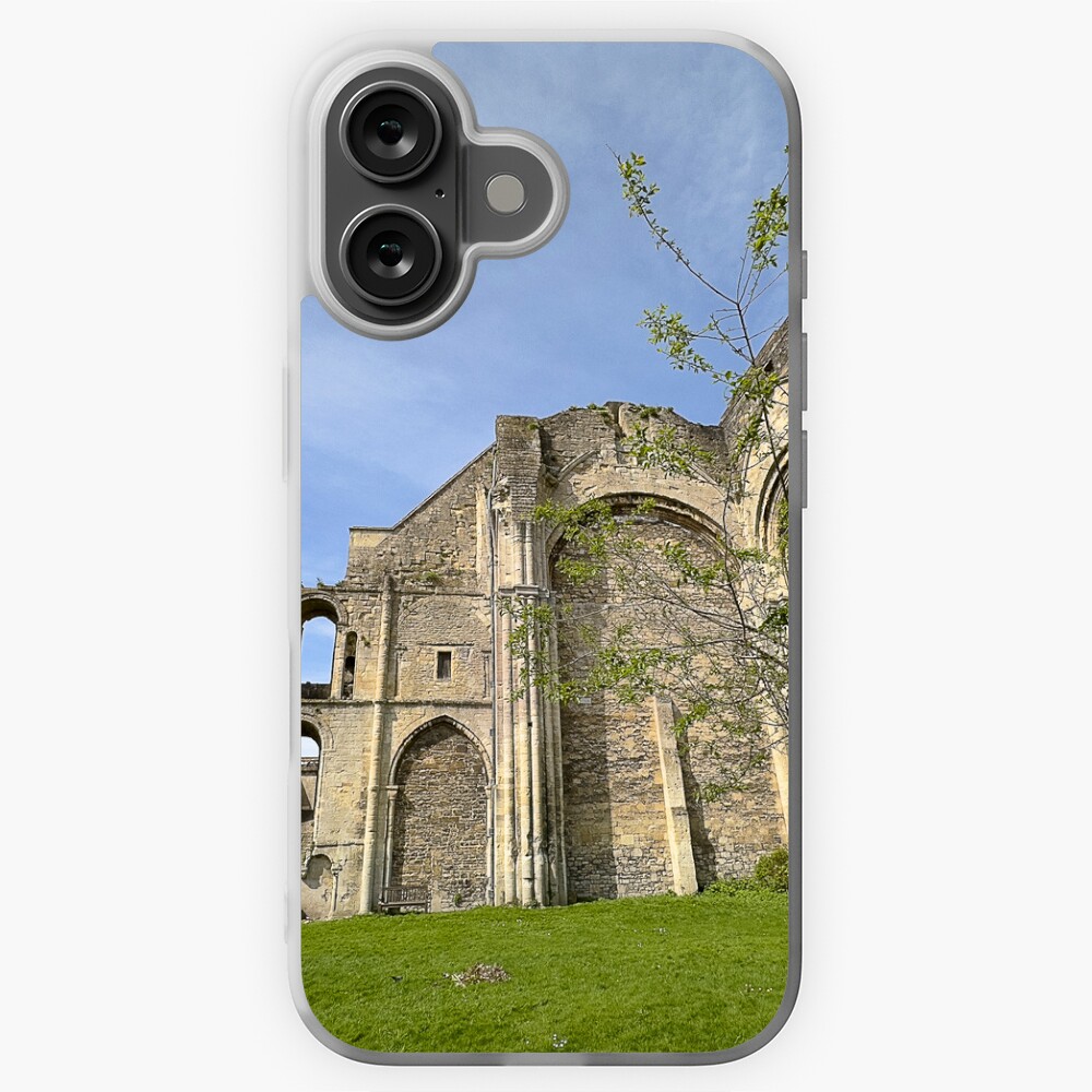 Item preview, iPhone Soft Case designed and sold by Graz-Photos.