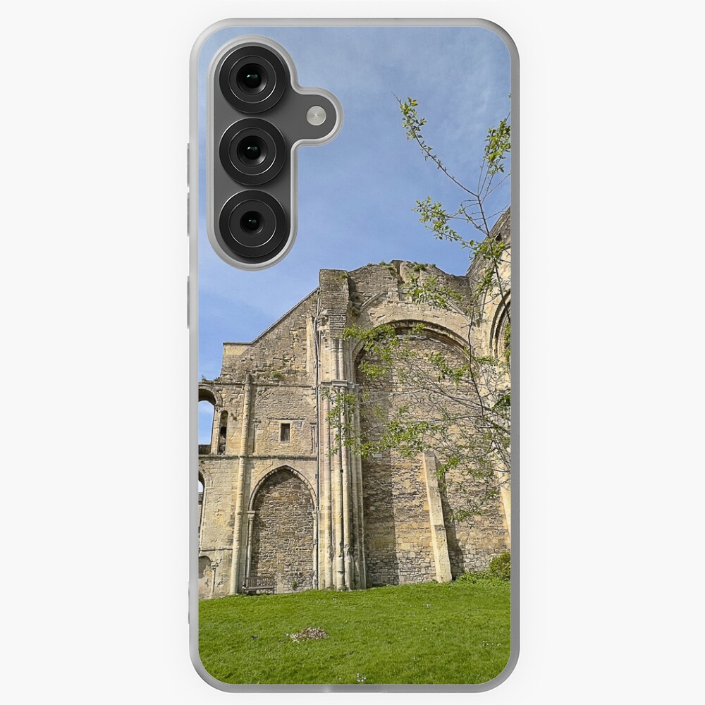 Item preview, Samsung Galaxy Soft Case designed and sold by Graz-Photos.